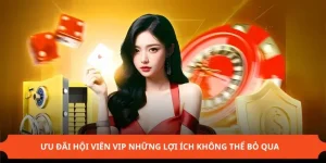 ảnh đại diện ưu đãi hội viên vip
